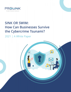Cybercrime white paper cover